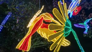 Capturado en flagrancia sujeto que robaba elementos del alumbrado navideño en Ibagué