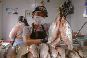 ¡No juegue con su salud! Compre pescado dentro de las plazas de mercado, no en los exteriores