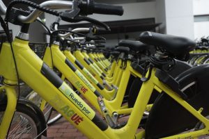 Infibagué adquirirá 20 nuevas bicicletas para el Sistema Público ‘Rueda por Ibagué