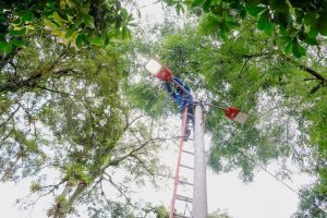 Alcaldía de Ibagué adelanta verificación al funcionamiento del alumbrado público del Parque de Belén