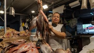 Conozca los precios de los pescados más consumidos por los ibaguereños en Semana Santa
