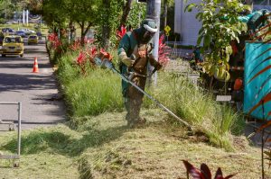 Alcaldía de Ibagué adelantó mantenimiento a separadores y ornato de la calle 60