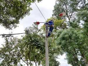 Alcaldía de Ibagué restauró servicio de alumbrado público en Parque de Belén