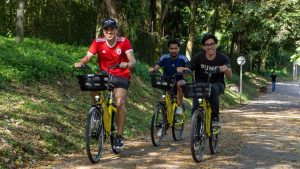 Inscríbase gratis al Sistema Público de Bicicletas ‘Rueda por Ibagué’ en la ciclovía de este domingo
