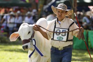 Infibagué pospondrá 58° Feria Agropecuaria e Industrial por temas de orden público