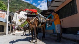 A lomo de mula llegaron nuevas luminarias y equipo de alumbrado de Alcaldía de Ibagué a vereda El Corazón