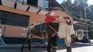 Habitantes de El Corazón están felices con modernización del alumbrado adelantado por Alcaldía de Ibagué