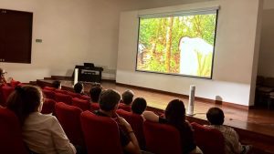 Producción ‘Rumbo a los Macondo’ trae gratis el cine colombiano al Museo Panóptico de Ibagué