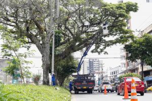 Alcaldía avanza con instalación de alumbrado navideño sobre carrera Quinta de Ibagué